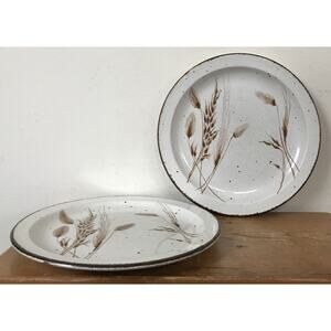 Pair Vtg Midwinter Stonehenge Stoneware England Wild Oats Dinner Plates 10.5"